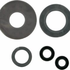 OIL SEAL SET
