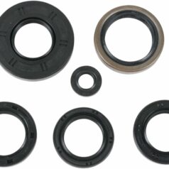 OIL SEAL SET