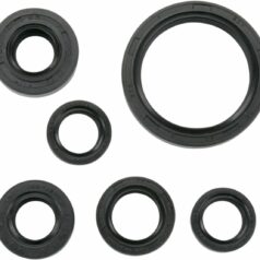 OIL SEAL SET