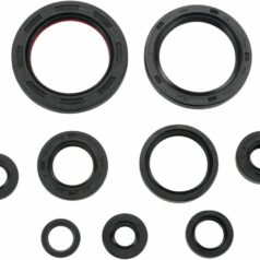OIL SEAL SET