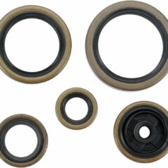 OIL SEAL SET