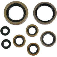 OIL SEAL SET