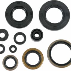 OIL SEAL SET