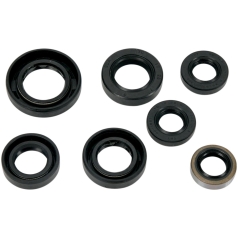 OIL SEAL SET
