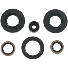 OIL SEAL SET