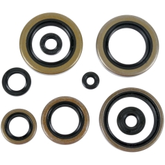 OIL SEAL SET