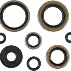 OIL SEAL SET