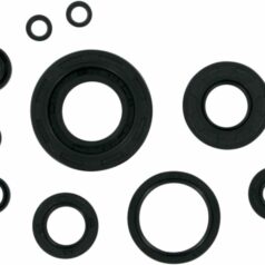 OIL SEAL SET
