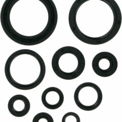 OIL SEAL SET
