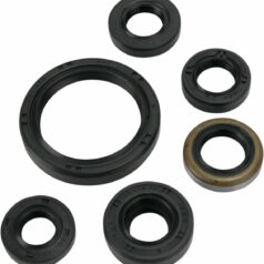 OIL SEAL SET