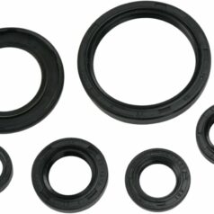 OIL SEAL SET