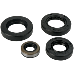 OIL SEAL SET
