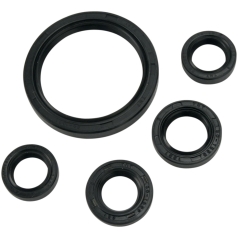 OIL SEAL SET
