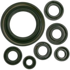OIL SEAL SET