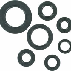 OIL SEAL SET