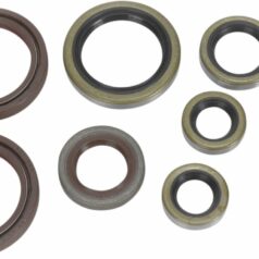 OIL SEAL SET