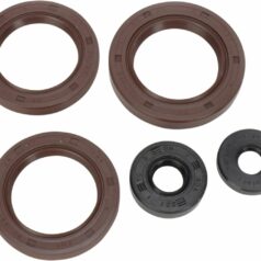 OIL SEAL SET