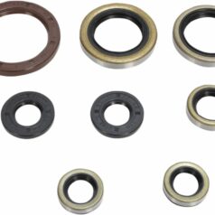 OIL SEAL SET