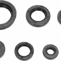 OIL SEAL SET