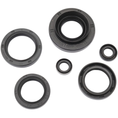 OIL SEAL SET