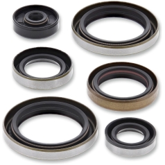 COMPLETE OIL SEAL SET