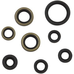 COMPLETE OIL SEAL SET