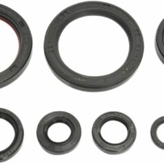 COMPLETE OIL SEAL SET