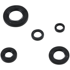 SEAL KIT ENGINE OIL HON