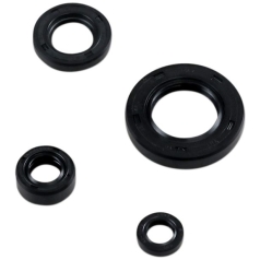 SEAL KIT ENGINE OIL SUZ