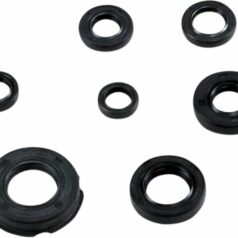SEAL KIT ENGINE OIL HON