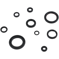 SEAL KIT ENGINE OIL HON
