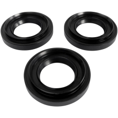 DIFFERENTIAL SEAL KIT RR