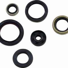 SEAL OIL SET KTM