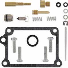 CARB REPAIR KIT