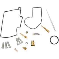 CARB REPAIR KIT