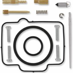 CARB REPAIR KIT