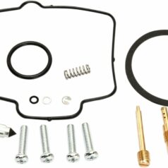 CARB REPAIR KIT