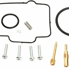 CARB REPAIR KIT