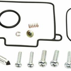 CARB REPAIR KIT