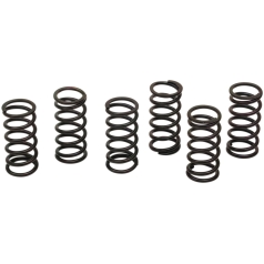 CLUTCH SPING KIT SET OF 6