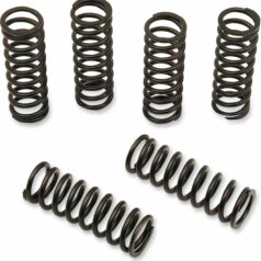 CLUTCH SPING KIT SET OF 6