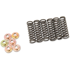 CLUTCH SPING KIT SET OF 6