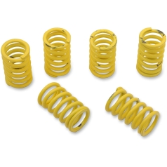CLUTCH SPRING KIT HEAVY DUTY