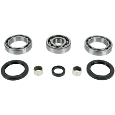 DIFFERENTIAL BEARING AND SEAL KIT