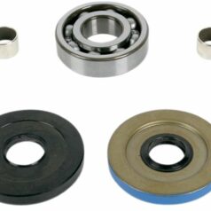 DIFFERENTIAL BEARING AND SEAL KIT