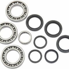 DIFFERENTIAL BEARING AND SEAL KIT