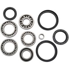 DIFFERENTIAL BEARING AND SEAL KIT