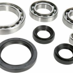 DIFFERENTIAL BEARING AND SEAL KIT
