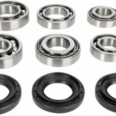 DIFFERENTIAL BEARING AND SEAL KIT