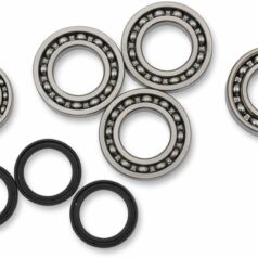 DIFFERENTIAL BEARING AND SEAL KIT